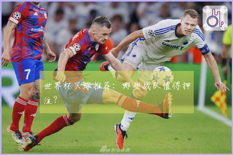 世界杯买球推荐：哪些战队值得押注？