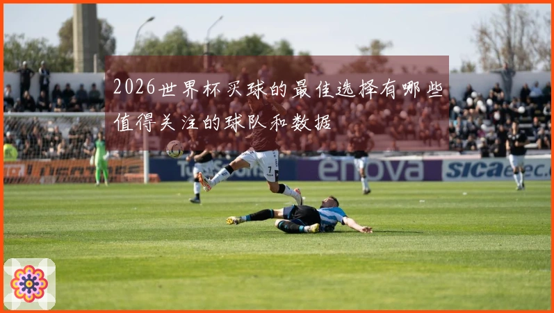 2026世界杯买球的最佳选择有哪些值得关注的球队和数据