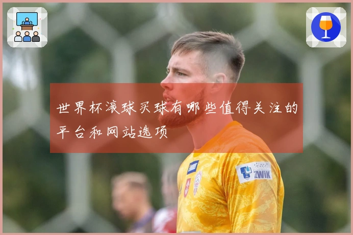 世界杯滚球买球有哪些值得关注的平台和网站选项
