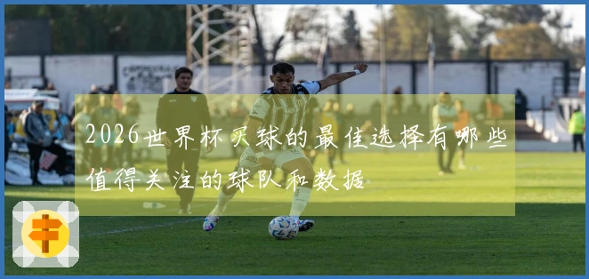 2026世界杯买球的最佳选择有哪些值得关注的球队和数据