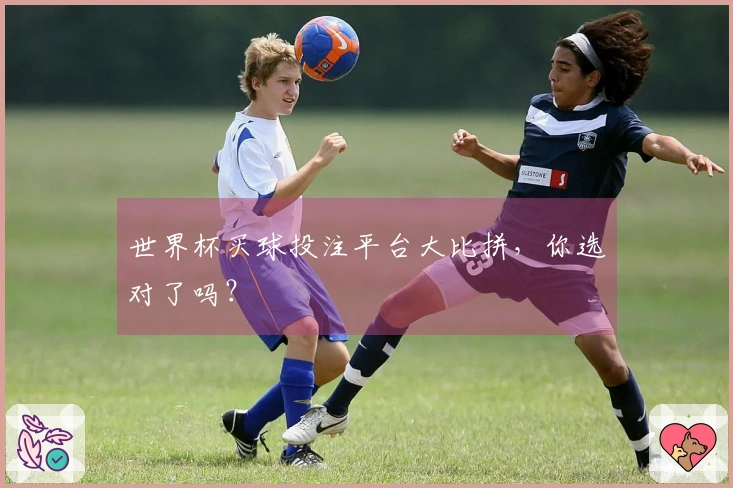 世界杯买球投注平台大比拼，你选对了吗？