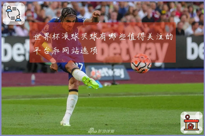 世界杯滚球买球有哪些值得关注的平台和网站选项