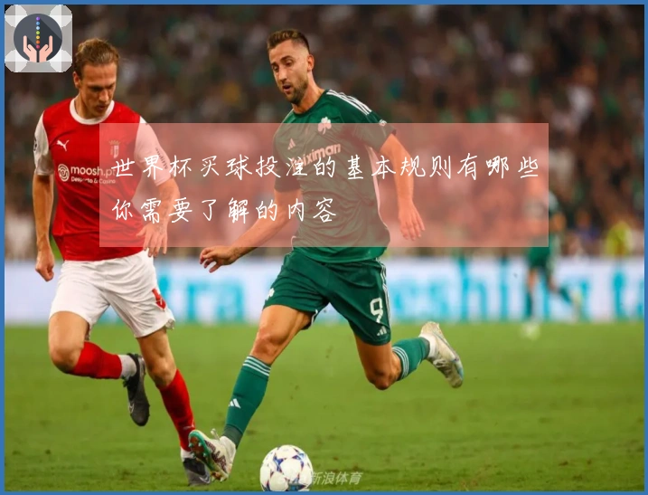 世界杯买球投注的基本规则有哪些你需要了解的内容