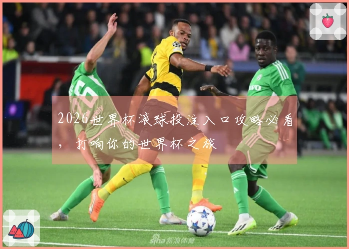 2026世界杯滚球投注入口攻略必看，打响你的世界杯之旅