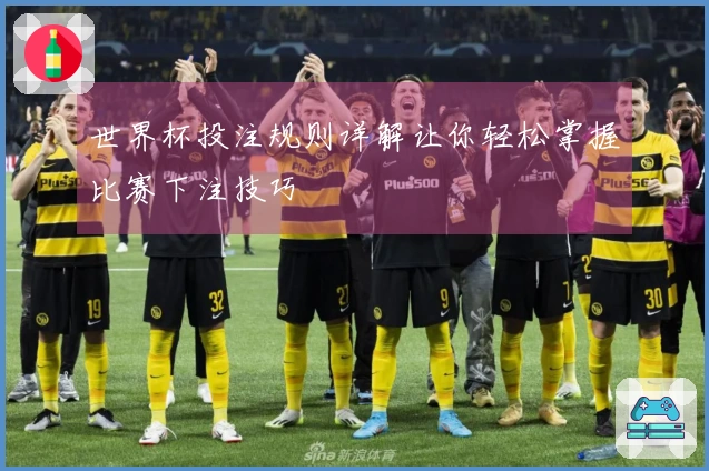 世界杯投注规则详解让你轻松掌握比赛下注技巧