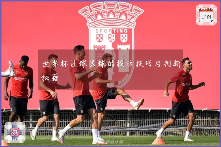 世界杯让球买球的投注技巧与判断秘籍