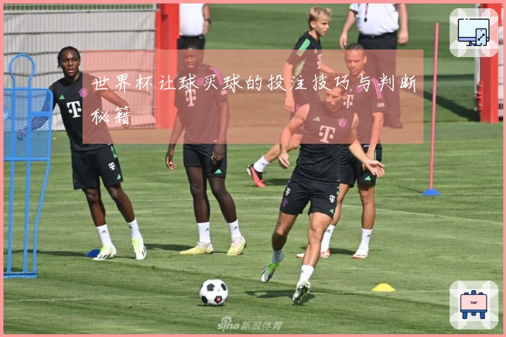 世界杯让球买球的投注技巧与判断秘籍